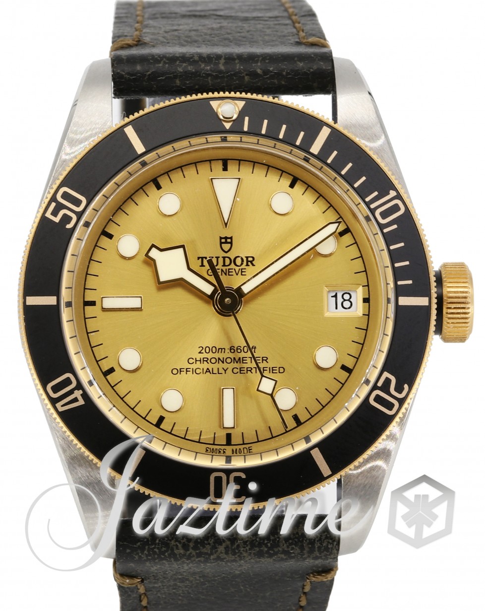 Tudor 79733N-0003 Heritage Black Bay Men's Automatic Champagne