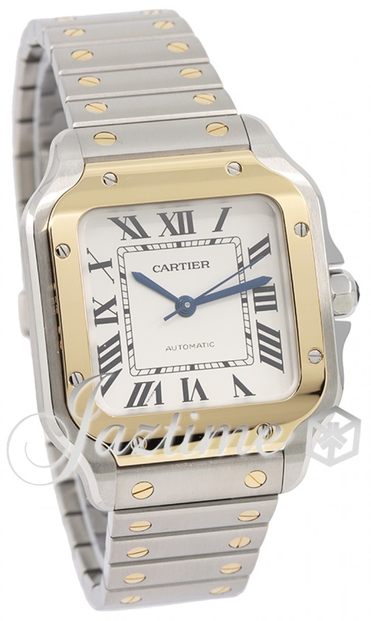 Cartier W2SA0016 Santos de Cartier Ladies Automatic Silver