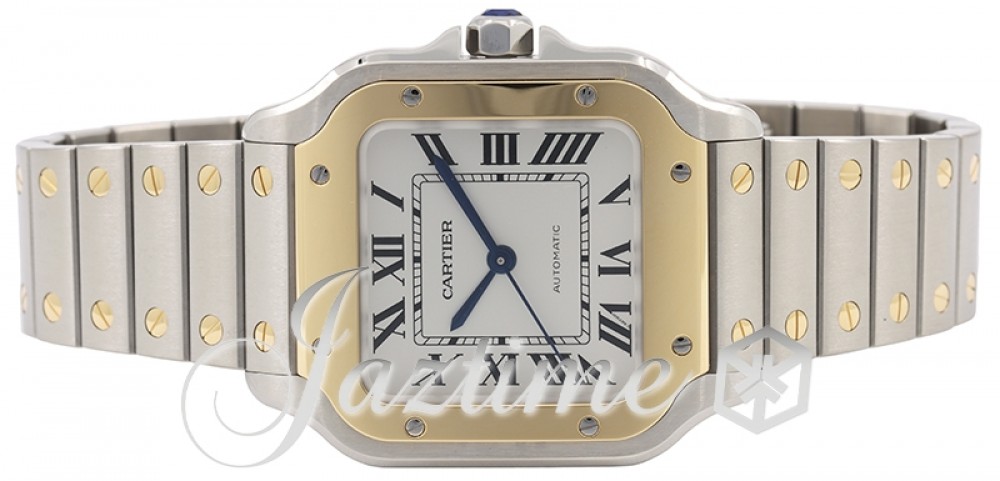 Cartier W2SA0016 Santos de Cartier Ladies Automatic Silver
