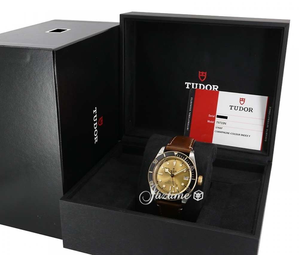 Tudor 79733N1 Heritage Black Bay Men's Automatic Champagne