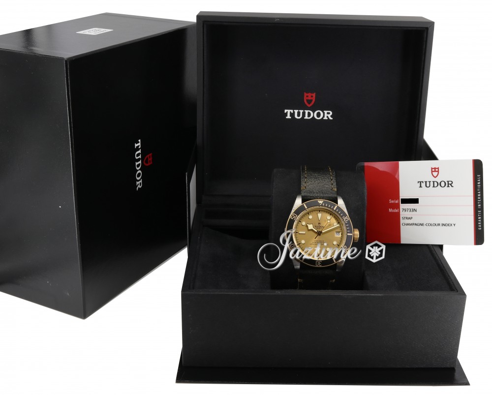 Tudor 79733N-0003 Heritage Black Bay Men's Automatic Champagne