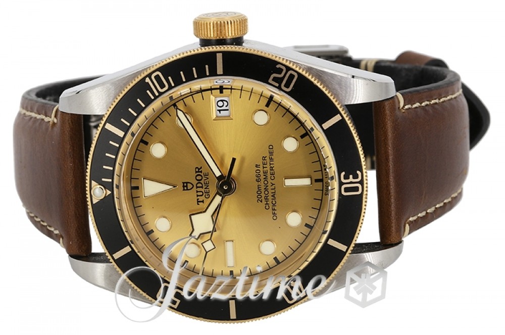 Tudor 79733N1 Heritage Black Bay Men's Automatic Champagne