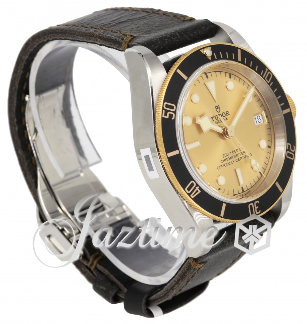 Tudor 79733N-0003 Heritage Black Bay Men's Automatic Champagne