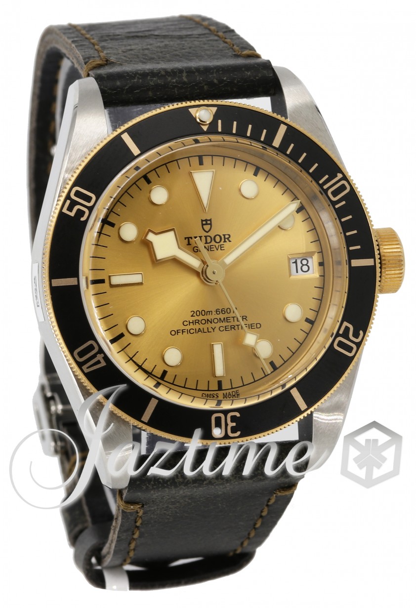 Tudor 79733N-0003 Heritage Black Bay Men's Automatic Champagne
