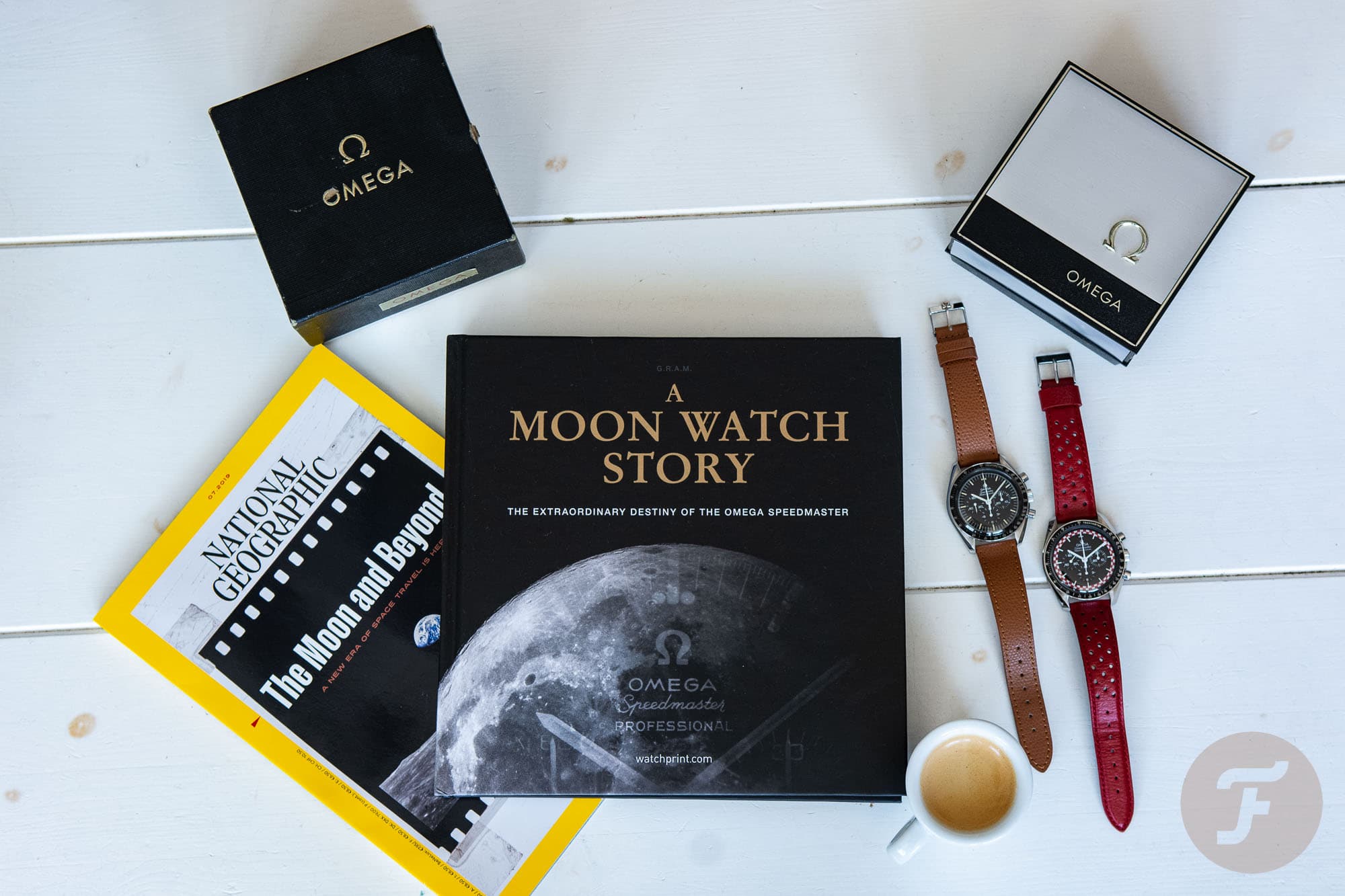 Book Recommendation: A Moon Watch Story