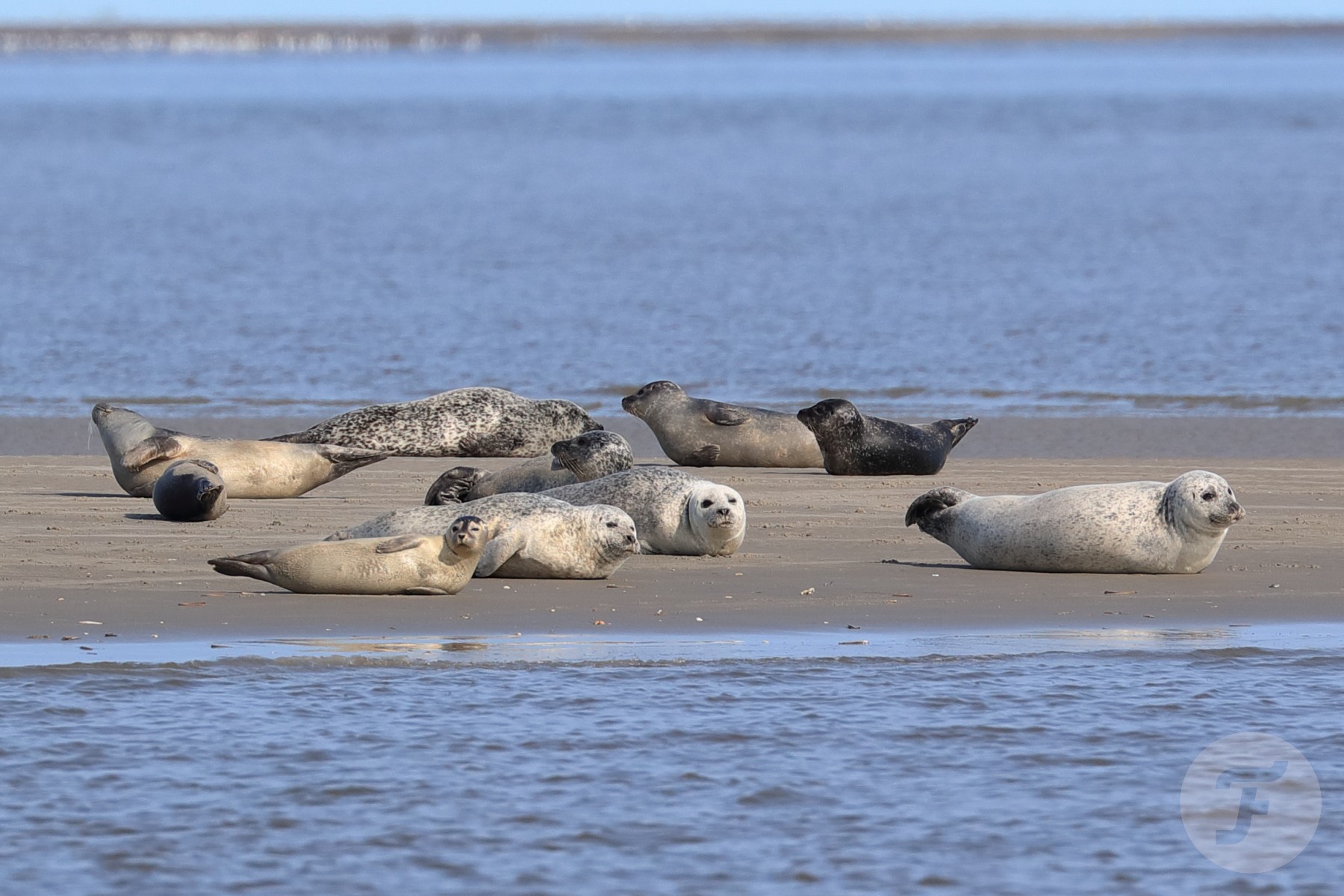 A Different Kind Of Watch Event: Oris Wadden Sea 2021
