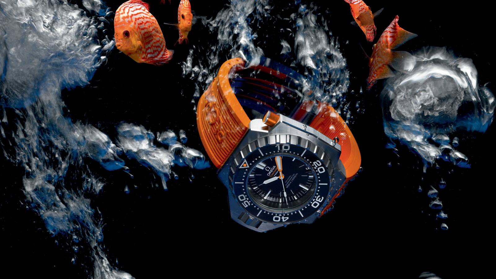 A Collector Talks About His Omega Seamaster Ploprof